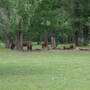 sam_0045.jpg
