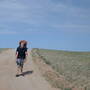 sam_0352.jpg