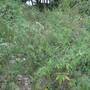 20160930_103327.jpg