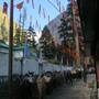 20161002_074538.jpg