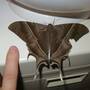 20161105_002304.jpg