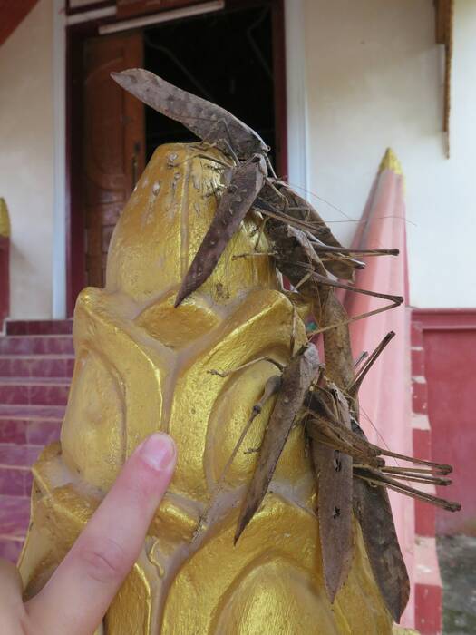 Hnee pagoda. Hnee pagoda.