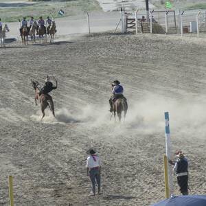 20160315_155455.jpg