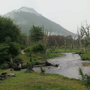 20160323_061817.jpg