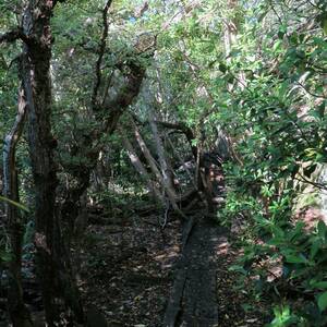 20160323_070452.jpg