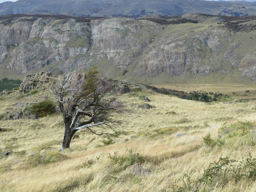 20160409_164531.jpg 20160409_164531.jpg