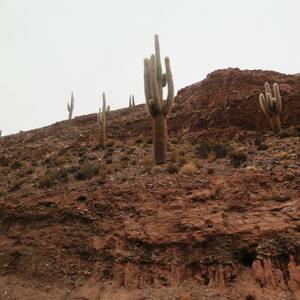 20160502_152812.jpg