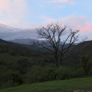 20160520_221838.jpg