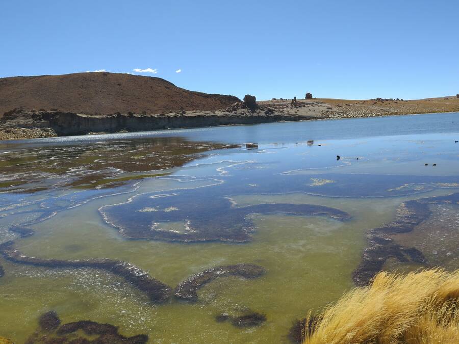 Laguna negra Laguna negra