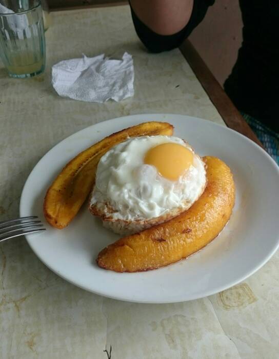 Na severu začínají banány. Na severu začínají banány.