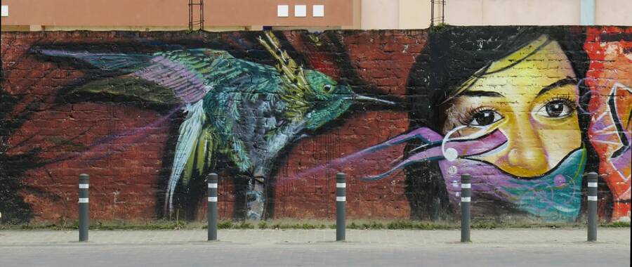 Streetart v Zamoře. Streetart v Zamoře.
