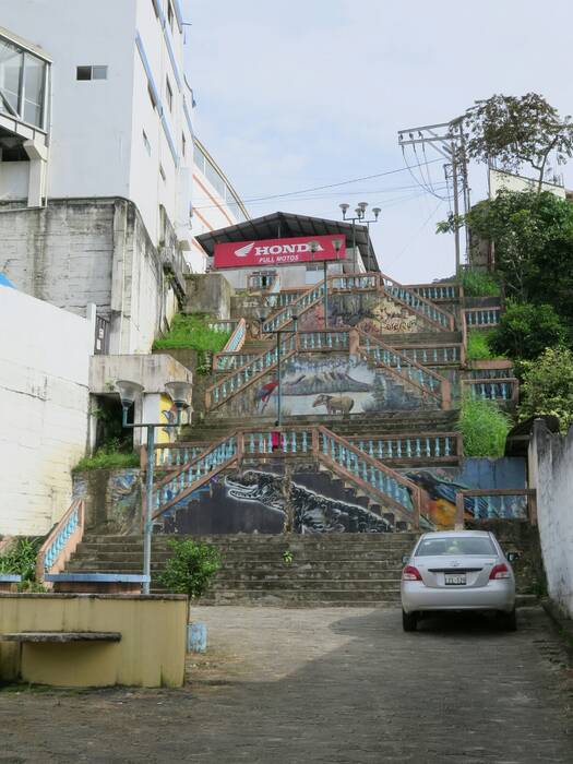 Streetart v Zamoře. Streetart v Zamoře.