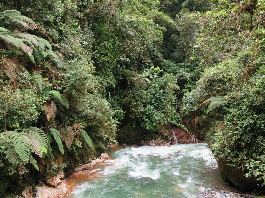 Rio Bombuscara Rio Bombuscara