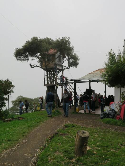 Casa de Arbol. Casa de Arbol.