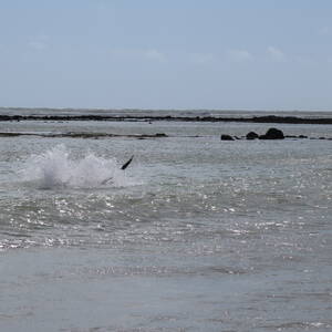 img_7493.jpg