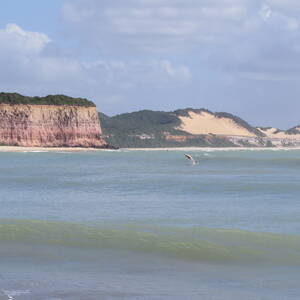 img_7504.jpg