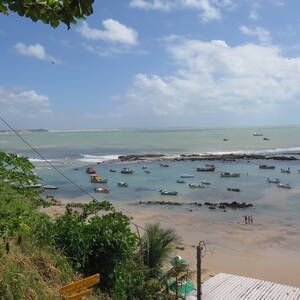 img_7517.jpg