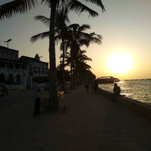 small_img_20190124_182340.jpg